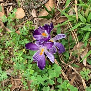 Meet your Posher, Kathryn